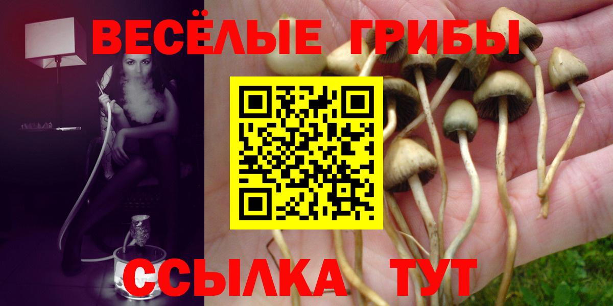 Галлюциногенные грибы GOLDEN TEACHER  Вход с VPN  Жигулёвск 